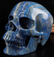 Lifesized Gemstone 7.0" Lapis Lazuli Carved Crystal Skull,Super Realistic, Crystal Healing