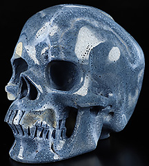 5.2" Blue Sponge Coral Carved Crystal Skull,Super Realistic, Crystal Healing