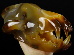 GEMSTONE 8.5" Carnelian Carved Crystal Wolf Skull Sculpture, Realistic