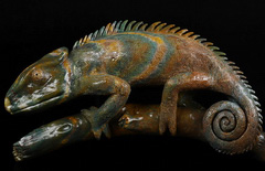 7.4" Bloodstone Carved Crystal Lizard, Crystal Healing