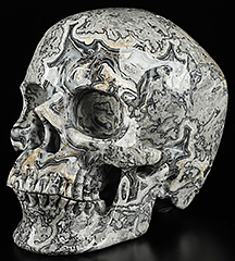 5.0" Crocodile Jasper Carved Crystal Skull, Super Realistic, Crystal Healing