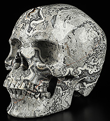 5.0" Crocodile Jasper Carved Crystal Skull,Super Realistic, Crystal Healing