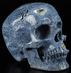 Huge 5.0" Blue Sponge Coral Carved Crystal Skull,Super Realistic, Crystal Healing