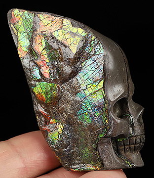 Gemstone 2.6" Ammolite Carved Crystal Skull, Crystal Healing