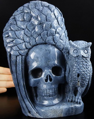 7.1" Blue Sponge Coral Carved Crystal Skull &Owl, Crystal Healing