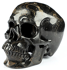 Huge 5.1" Stromatolite Fossil Carved Crystal Skull,Super Realistic, Crystal Healing