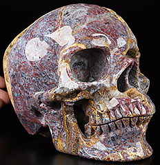 Lifesized 7.0" Red Moss Agate Carved Crystal Skull,Super Realistic, Crystal Healing