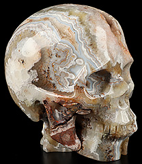 GEMSTONE Geode Huge 4.8 Red Crazy Lace Agate Carved Crystal Skull, Realistic, Crystal Healing