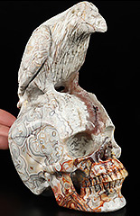 6.6" Crazy Lace Agate Carved Crystal Skull & Raven Sculpture, Crystal Healing
