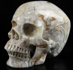 GEODE Huge 5.2" Crazy Lace Agate Carved Crystal Skull,Super Realistic, Crystal Healing