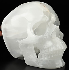 Lifesized 6.9