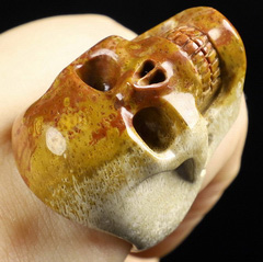 Ring Inside Diameter9(19 mm) Coral Fossil Carved Crystal Skull Ring, Crystal Healing