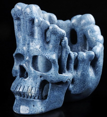 AMAZING DESIGN 5.3" Blue Sponge Coral Carved Crystal Skull, Crystal Healing