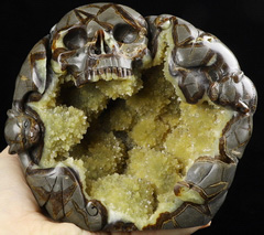 GEODE 6.3" Dragon Septarian Stone Carved Crystal Skull, Crystal Healing