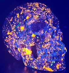 5.0" Syenite with Sodalite Carved Crystal Skull, Realistic