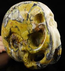 5.9" Hiso Jasper Carved Crystal Octopus Skull Realistic, Crystal Healing