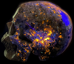 Lifesized 7.0" Syenite with Sodalite Carved Crystal Skull,Super Realistic, Crystal Healing