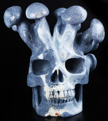 6.8" Blue Sponge Coral Carved Crystal Skull & Mushroom, Crystal Healing