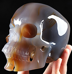5.5" Premium Brazilian Agate Carved Crystal skull with Led Stand,Super Realistic, Crystal Healing