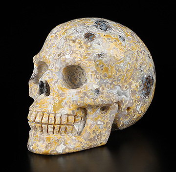 2.0" Ocean Jasper Carved Crystal skull,Realistic, Crystal Healing