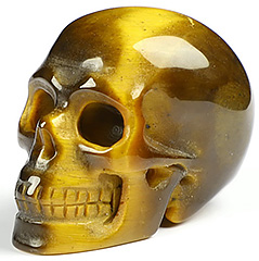1.5" Gold Tiger's Eye Carved Crystal Skull,Realistic, Crystal Healing
