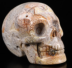 2.0" Crazy Lace Agate Carved Crystal Skull, Crystal Healing