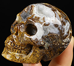 GEODE 2.0" Tree Leaves Agate Carved Crystal Skull,Realistic, Crystal Healing