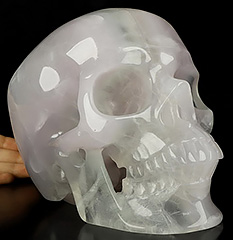 Lifesized 6.9" Fluorite Carved Crystal Skull,Super Realistic, Crystal Healing