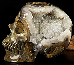 Lifesized 8.0" Dinosaur Egg Agate Geode Carved Crystal Skull,Super Realistic, Crystal Healing