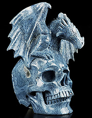 8.8" Blue Sponge Coral Carved Crystal Skull & Western Dragon, Crystal Healing