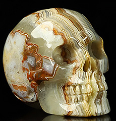 1.1" Red Crazy Lace Agate Carved Crystal Skull, Crystal Healing