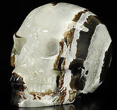 2.0" Black Zebra Agate Carved Crystal Skull,Realistic, Crystal Healing