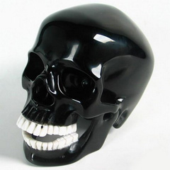 Black Obsidian Carved Crystal Skull and White Chalcedony Teeth