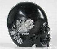 Large 3.8" Chrysanthemum Stone Carved Crystal Skull