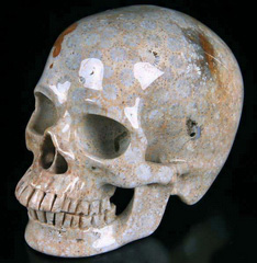 Huge 5.0" Coral Fossil Carved Crystal Skull, Super Realistic