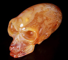 Huge 4.4" Carnelian Carved Crystal Skull