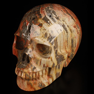 5.0" Petrified Wood Hand Carved Crystal Skull, Realistic, Crystal Healing