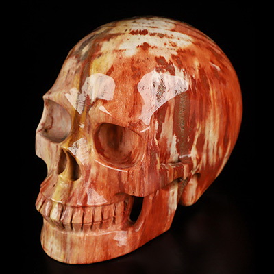 5.0" Petrified Wood Hand Carved Crystal Skull, Realistic, Crystal Healing