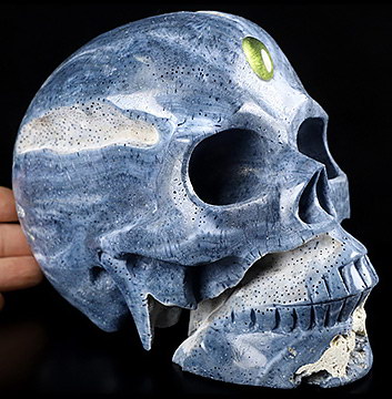 Lifesized 6.8" Blue Sponge Coral Carved Crystal Skull,Gemstone Amber Heaven Eye