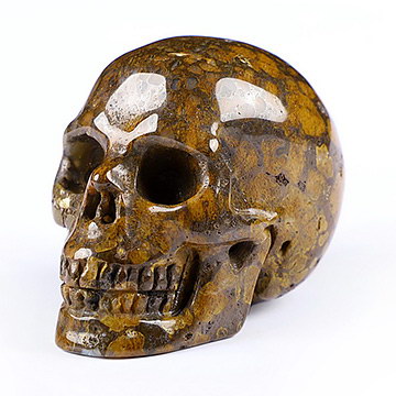 2.0" Coffee Opal Carved Crystal Skull,Realistic, Crystal Healing