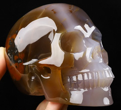 5.0" Premium Brazilian Agate Carved Crystal skull,Super Realistic, Crystal Healing