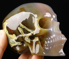 4.1" Premium Brazilian Agate Carved Crystal skull,Super Realistic, Crystal Healing