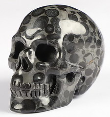 2.0" Coral Fossil Carved Crystal skull,Realistic, Crystal Healing