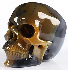 5.1" Premium Brazilian Agate Carved Crystal skull,Super Realistic, Crystal Healing