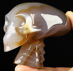 3.7" Premium Brazilian Agate Carved Crystal Mayan Alien Skull & Spine, Crystal Healing