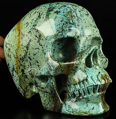 Lifesized 6.9" African Turquoise Carved Crystal Skull,Super Realistic, Crystal Healing