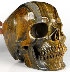 Lifesized 6.9" Gold Tiger's Eye Carved Crystal Skull,Super Realistic, Crystal Healing