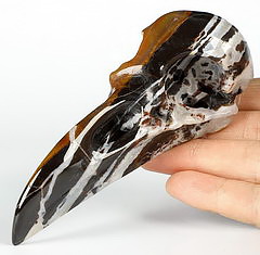 4.8" Black Zebra Agate Carved Crystal Raven Skull, Crystal Healing