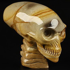 3.7" Polychrome Jasper Carved Elongated Mayan Alien Skull & Spine, Crystal Healing