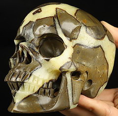 Huge 5.1" Dragon Septarian Stone Carved Crystal Skull,Super Realistic, Crystal Healing